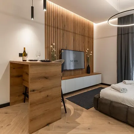 Silver Luxury Apartment