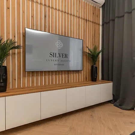 Silver Luxury Apartment