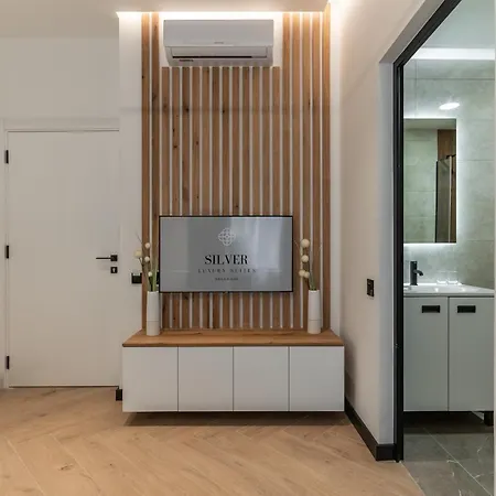 Silver Luxury Apartment Belgrade