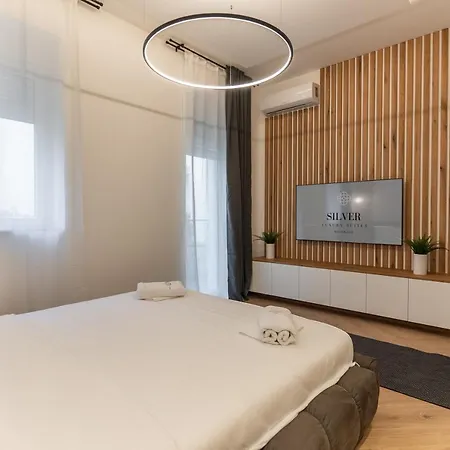 Silver Luxury Apartment Belgrade