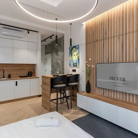 Silver Luxury Apartment Belgrade