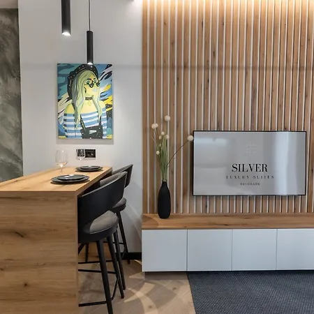 Silver Luxury Apartment