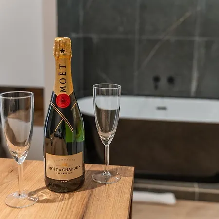 Silver Luxury Apartment Belgrade