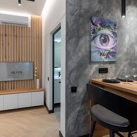 Silver Luxury Apartment *