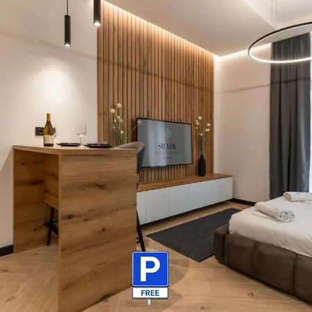 Apartment Silver Luxury *