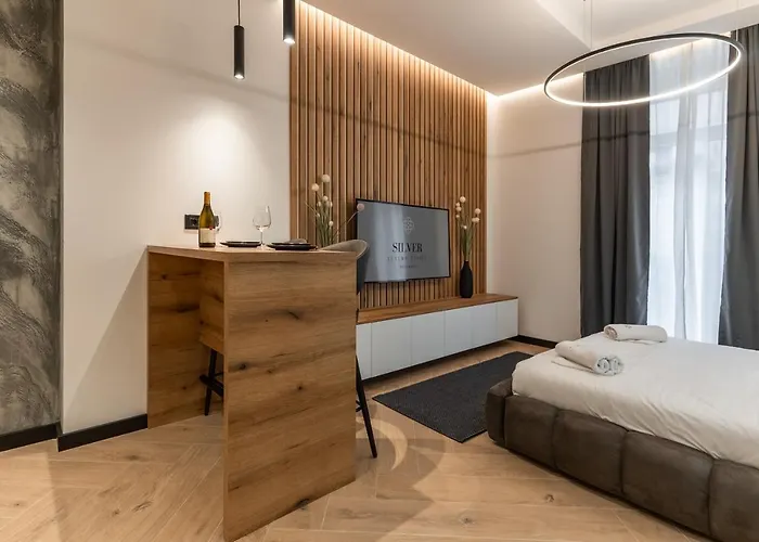 Silver Luxury アパート