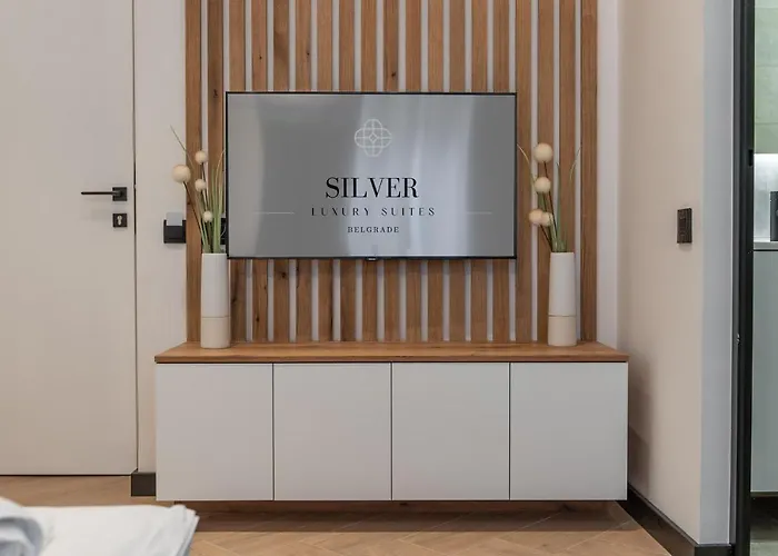 Silver Luxury アパート *