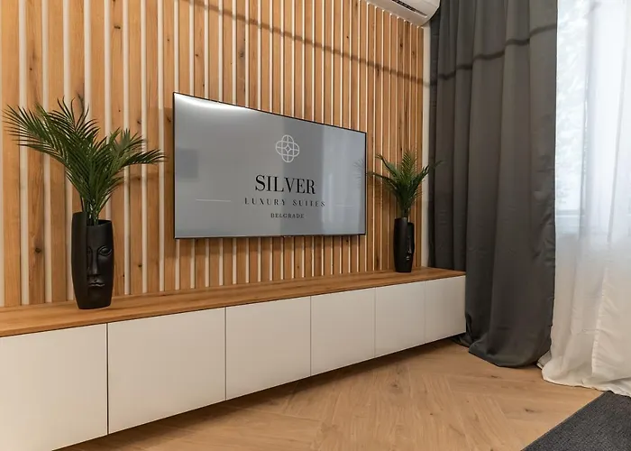 Silver Luxury アパート