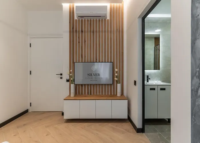 Silver Luxury アパート ベオグラード