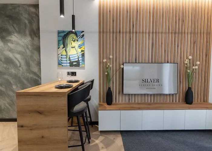 Silver Luxury Apartment